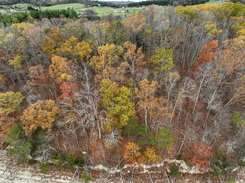 121 Pointe Drive Piney Flats Tn 37686, Piney Flats, TN 37686 photo 16