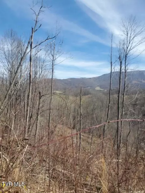 tbd Miller Road Trade Tn 37691, Trade, TN 37691