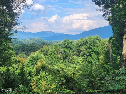 Other - 505 Escape Mountain Road Hampton Tn 37658, Hampton, TN 37658 photo 3 of 9