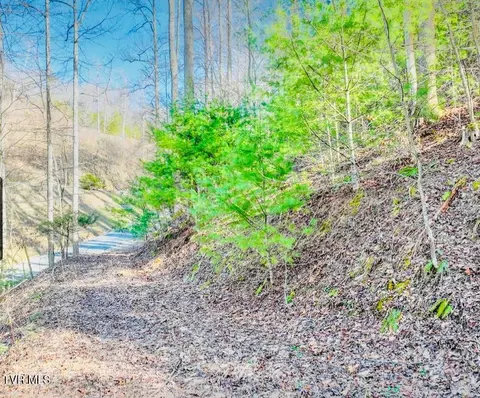 lot18 Horseshoe Cove Drmistyhollow Drive Butler Tn 37640, Butler, TN 37640
