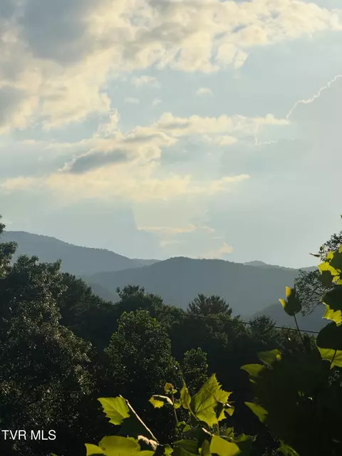 Other - 116 Hasty Boulevard Erwin Tn 37650, Erwin, TN 37650 photo 1 of 10