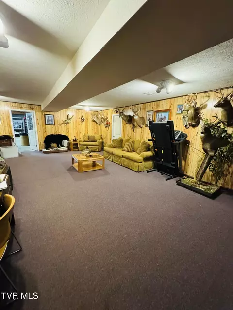 Living - 116 Hasty Boulevard Erwin Tn 37650, Erwin, TN 37650 photo 3 of 3