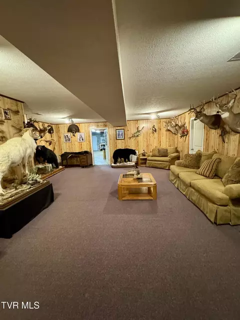 Other - 116 Hasty Boulevard Erwin Tn 37650, Erwin, TN 37650 photo 7 of 10