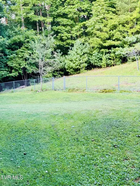 Exterior - 116 Hasty Boulevard Erwin Tn 37650, Erwin, TN 37650 photo 8 of 14