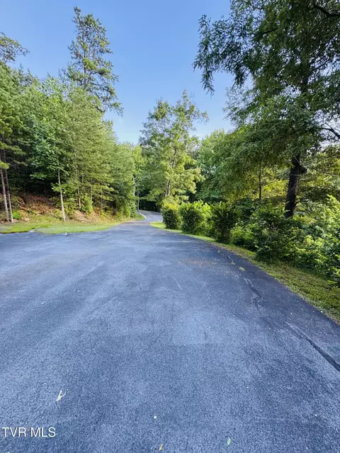 Exterior - 116 Hasty Boulevard Erwin Tn 37650, Erwin, TN 37650 photo 13 of 14