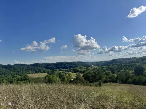 1430 Roaring Fork Road Greeneville Tn 37745, Greeneville, TN 37745 photo 31