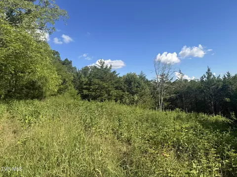 1430 Roaring Fork Road Greeneville Tn 37745, Greeneville, TN 37745 photo 29