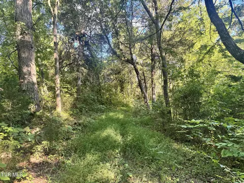 1430 Roaring Fork Road Greeneville Tn 37745, Greeneville, TN 37745 photo 36
