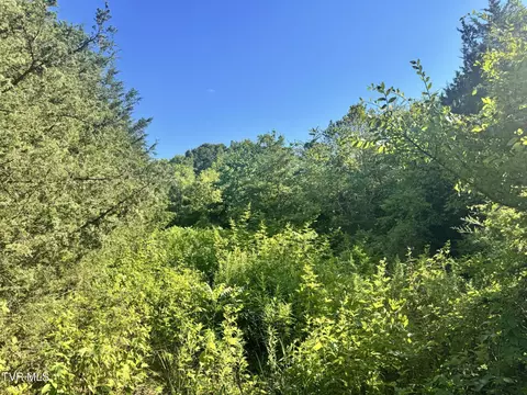 1430 Roaring Fork Road Greeneville Tn 37745, Greeneville, TN 37745 photo 52
