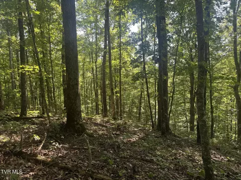 1430 Roaring Fork Road Greeneville Tn 37745, Greeneville, TN 37745 photo 25