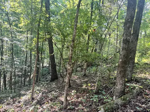 1430 Roaring Fork Road Greeneville Tn 37745, Greeneville, TN 37745 photo 24
