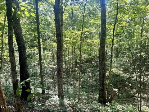 1430 Roaring Fork Road Greeneville Tn 37745, Greeneville, TN 37745 photo 22
