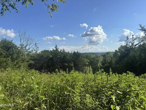 1430 Roaring Fork Road Greeneville Tn 37745, Greeneville, TN 37745 photo 51