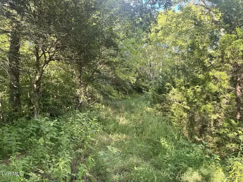 1430 Roaring Fork Road Greeneville Tn 37745, Greeneville, TN 37745 photo 30