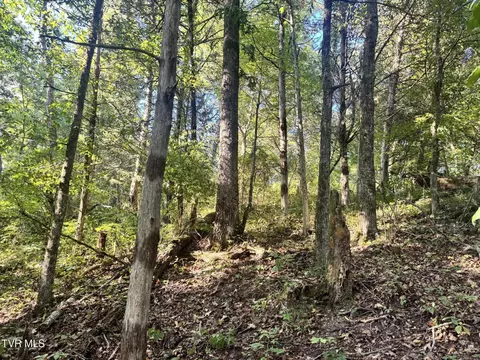 1430 Roaring Fork Road Greeneville Tn 37745, Greeneville, TN 37745 photo 27