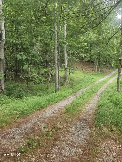 4916 Jasper Road Duffield Va 24244, Duffield, VA 24244 photo 30