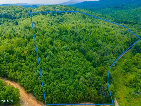 213 Cedar Ridge Road Road Harriman Tn 37748, Harriman, TN 37748
