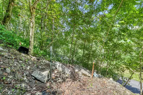 Other - 4026 Horton Ford Road Eidson Tn 37731, Eidson, TN 37731 photo 31 of 31