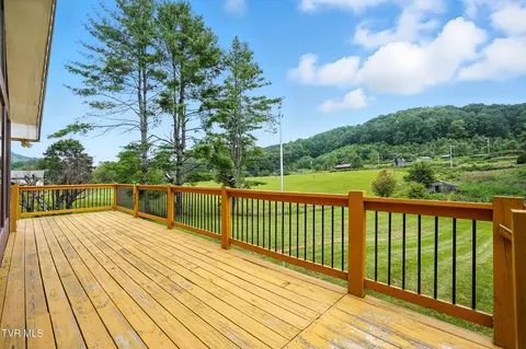 28271 Robindale Road Meadowview Va 24361, Meadowview, VA 24361 photo 2