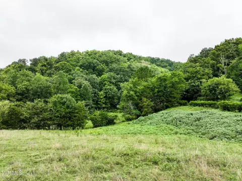 19 Ac Fodderstack Mountain Loop Greeneville Tn 37745, Greeneville, TN 37745 photo 13