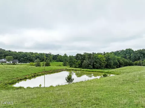 19 Ac Fodderstack Mountain Loop Greeneville Tn 37745, Greeneville, TN 37745 photo 17