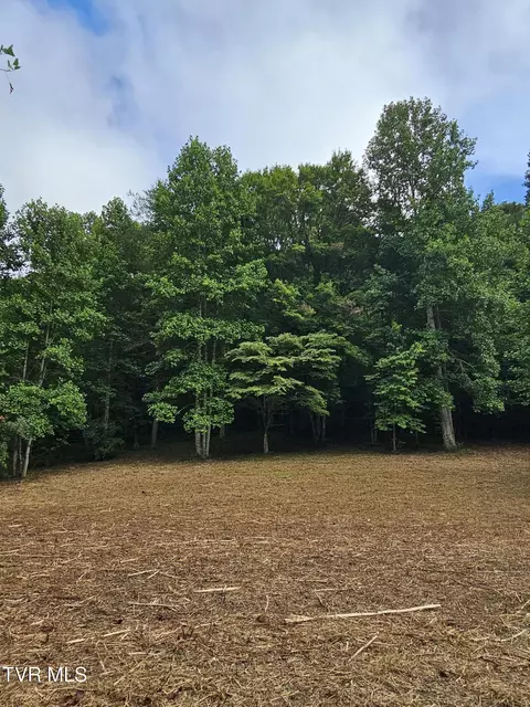 tbd Caney Valley Road Surgoinsville Tn 37873, Surgoinsville, TN 37873