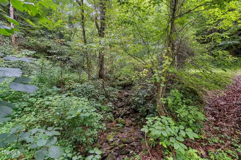 tbd Ash Hopper Hollow Erwin Tn 37650, Erwin, TN 37650 photo 6