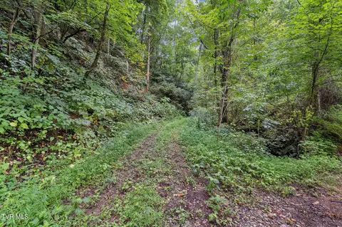 tbd Ash Hopper Hollow Erwin Tn 37650, Erwin, TN 37650 photo 5