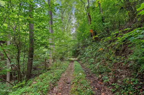 tbd Ash Hopper Hollow Erwin Tn 37650, Erwin, TN 37650 photo 20