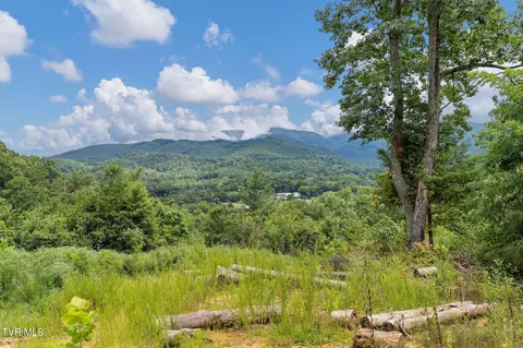 tbd Ash Hopper Hollow Erwin Tn 37650, Erwin, TN 37650 photo 21