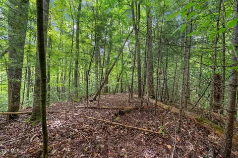 tbd Ash Hopper Hollow Erwin Tn 37650, Erwin, TN 37650 photo 13