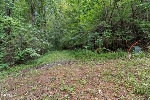 tbd Ash Hopper Hollow Erwin Tn 37650, Erwin, TN 37650 photo 7
