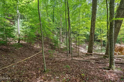 tbd Ash Hopper Hollow Erwin Tn 37650, Erwin, TN 37650 photo 18
