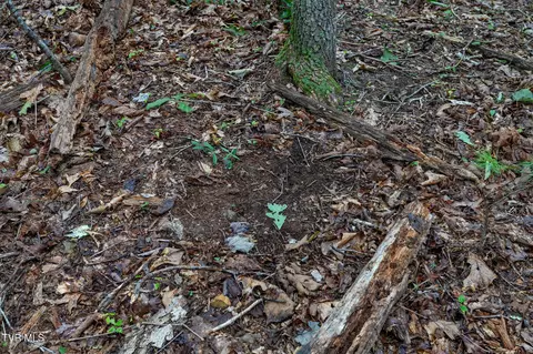 tbd Ash Hopper Hollow Erwin Tn 37650, Erwin, TN 37650 photo 11