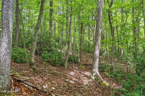 tbd Ash Hopper Hollow Erwin Tn 37650, Erwin, TN 37650 photo 17