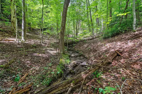 tbd Ash Hopper Hollow Erwin Tn 37650, Erwin, TN 37650 photo 19