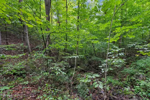 tbd Ash Hopper Hollow Erwin Tn 37650, Erwin, TN 37650 photo 8