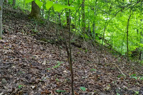 tbd Ash Hopper Hollow Erwin Tn 37650, Erwin, TN 37650 photo 9