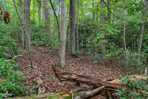 tbd Ash Hopper Hollow Erwin Tn 37650, Erwin, TN 37650 photo 10