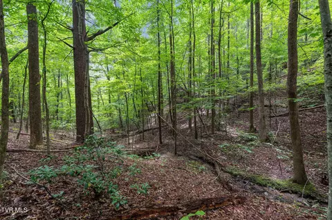 tbd Ash Hopper Hollow Erwin Tn 37650, Erwin, TN 37650 photo 15