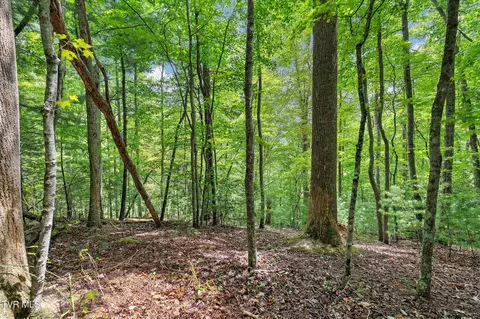 tbd Ash Hopper Hollow Erwin Tn 37650, Erwin, TN 37650 photo 12