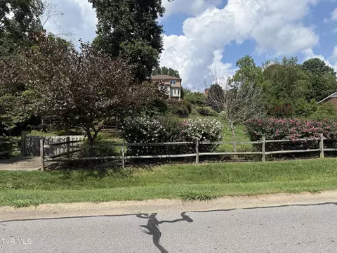 tbd Meadow Lane Kingsport Tn 37663, Kingsport, TN 37663