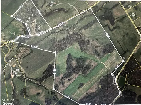 1410 Timber Ridge Road Greeneville Tn 37743, Greeneville, TN 37743