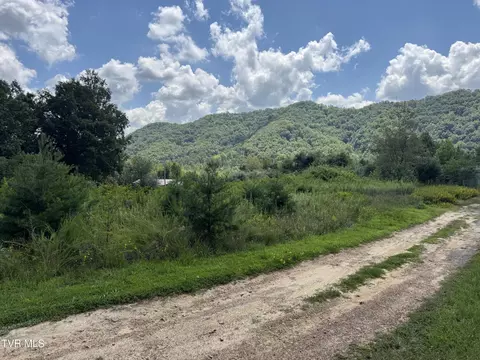 118 Sanctuary Drive Hiltons Va 24258, Hiltons, VA 24258