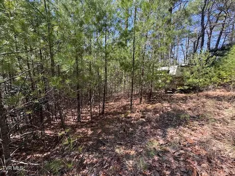 0 Buck Hollow Trail Sugar Grove Va 24375, Sugar Grove, VA 24375