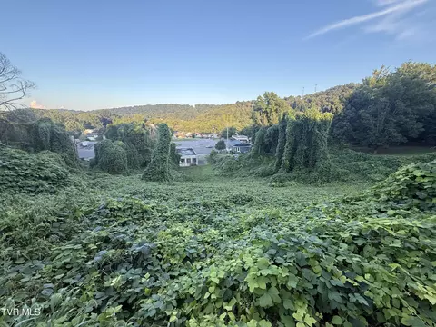 lot16 Birdwell Kingsport Tn 37664, Kingsport, TN 37664
