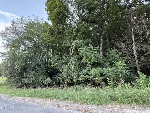 0 Maywood Welch Drive Kingsport Tn 37660, Kingsport, TN 37660