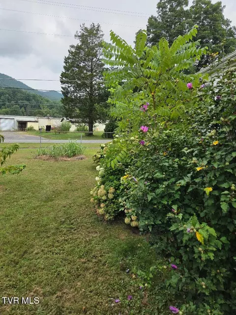 122 Dennis Cove Road Hampton Tn 37658, Hampton, TN 37658 photo 15