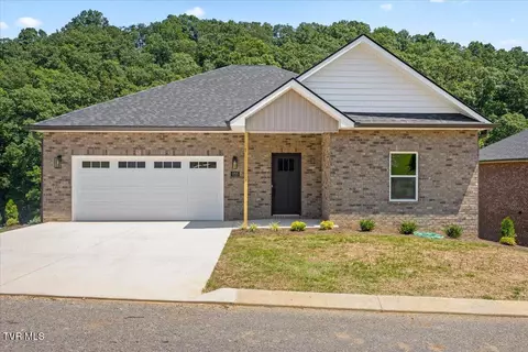 155 Quiet Stroll Lane Gray Tn 37615, Gray, TN 37615 photo 2