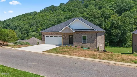 155 Quiet Stroll Lane Gray Tn 37615, Gray, TN 37615 photo 6